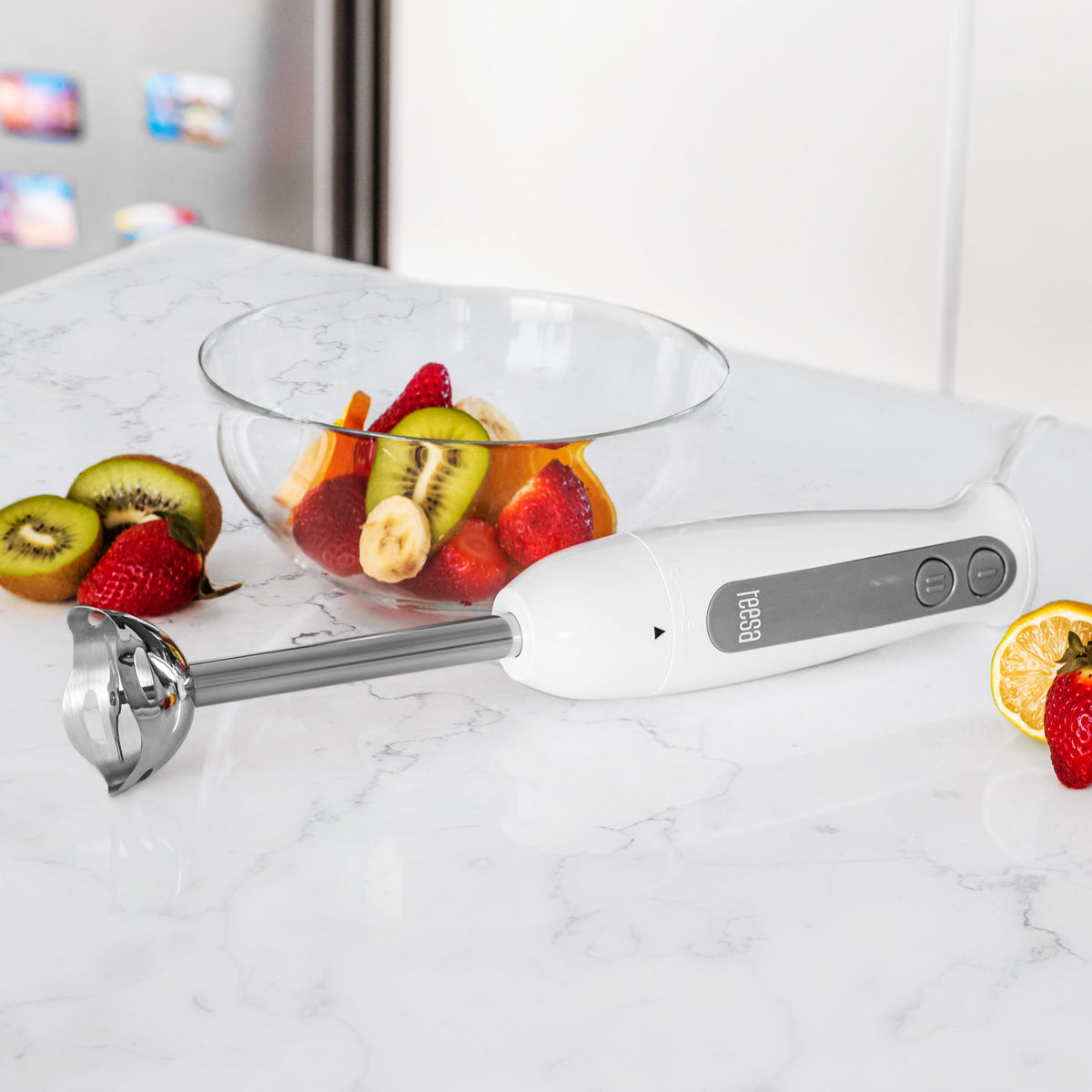 Mixers and Blenders – 400 W Hand Blender - Carlat