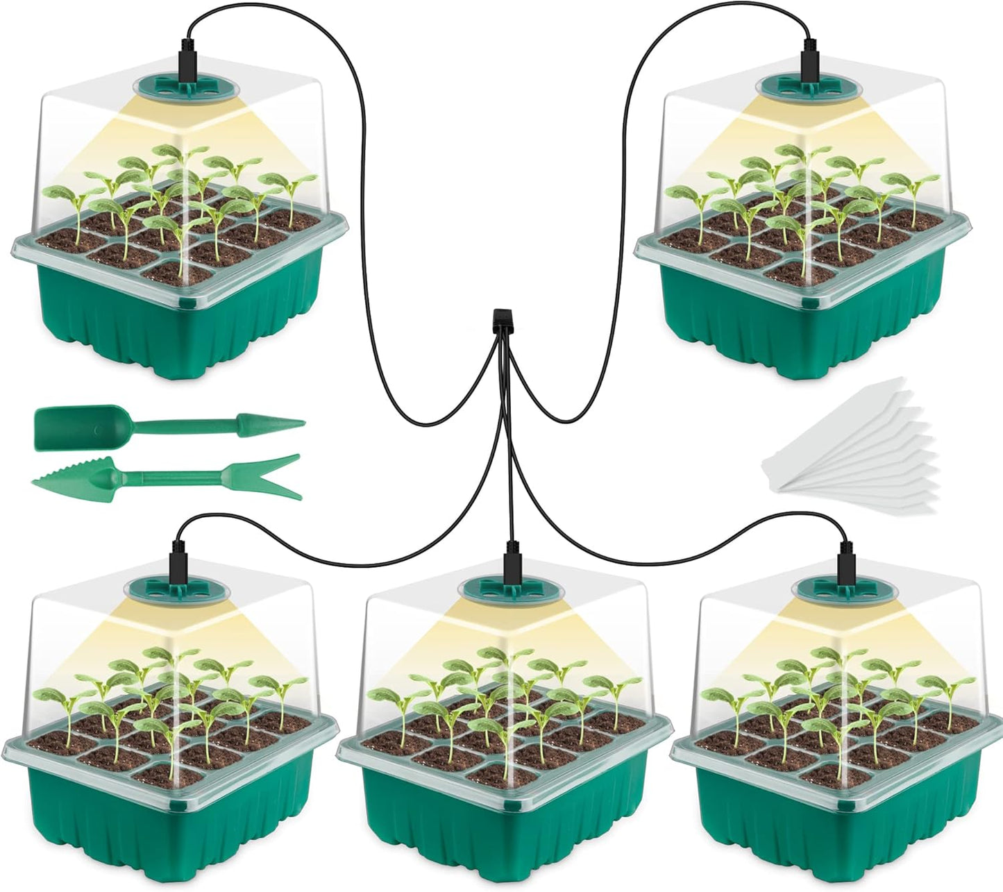 Pack of 2 Indoor Greenhouse Propagator with Plant Lamp, 80 Cell Greenhouse Propagation Set with Timing Controller, Adjustable Brightness, for Plant Growth and Seed Germination - Carlat