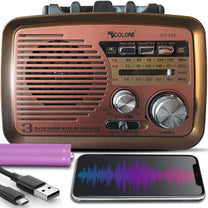 Portable, DIY Kitchen Radio (FM/AM), Battery-Powered, with Bluetooth, microSD, and USB - Carlat