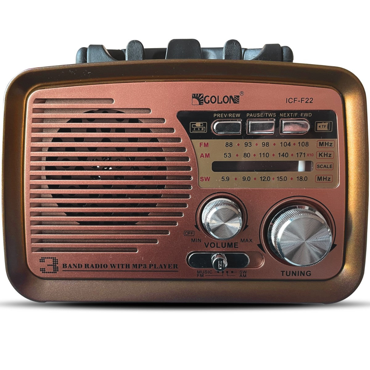 Portable, DIY Kitchen Radio (FM/AM), Battery-Powered, with Bluetooth, microSD, and USB - Carlat