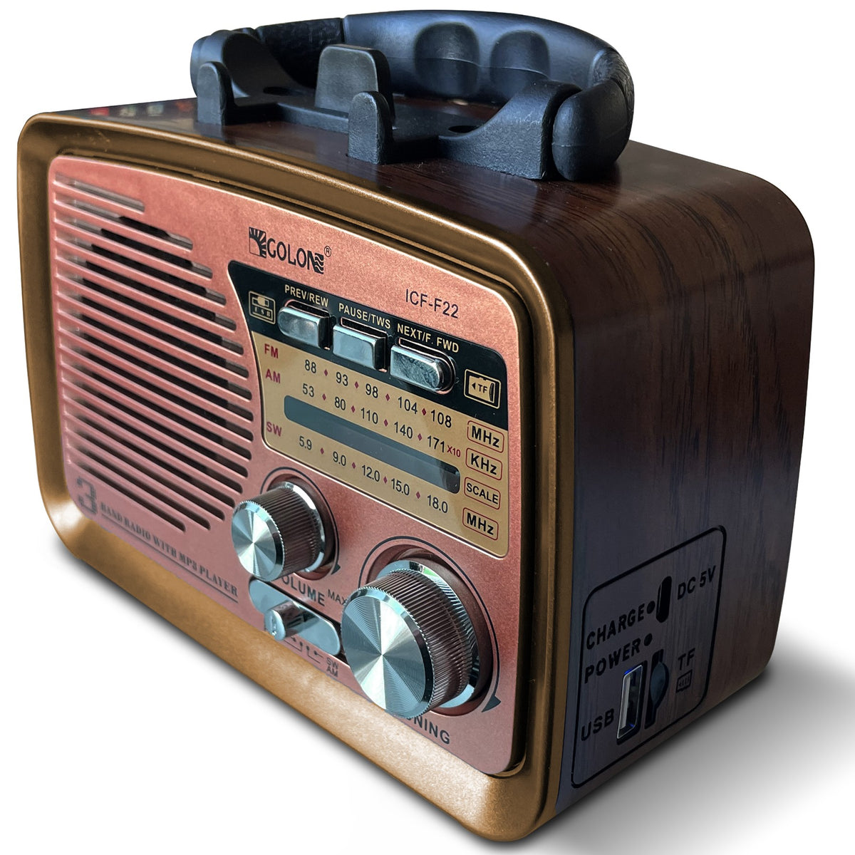 Portable, DIY Kitchen Radio (FM/AM), Battery-Powered, with Bluetooth, microSD, and USB - Carlat