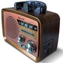 Portable, DIY Kitchen Radio (FM/AM), Battery-Powered, with Bluetooth, microSD, and USB - Carlat