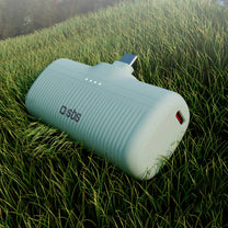 Power Banks – EcoPower 5000 mAh 10W powerbank with built-in - Carlat