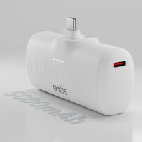 Power Banks – EcoPower 5000 mAh 10W powerbank with built-in - Carlat