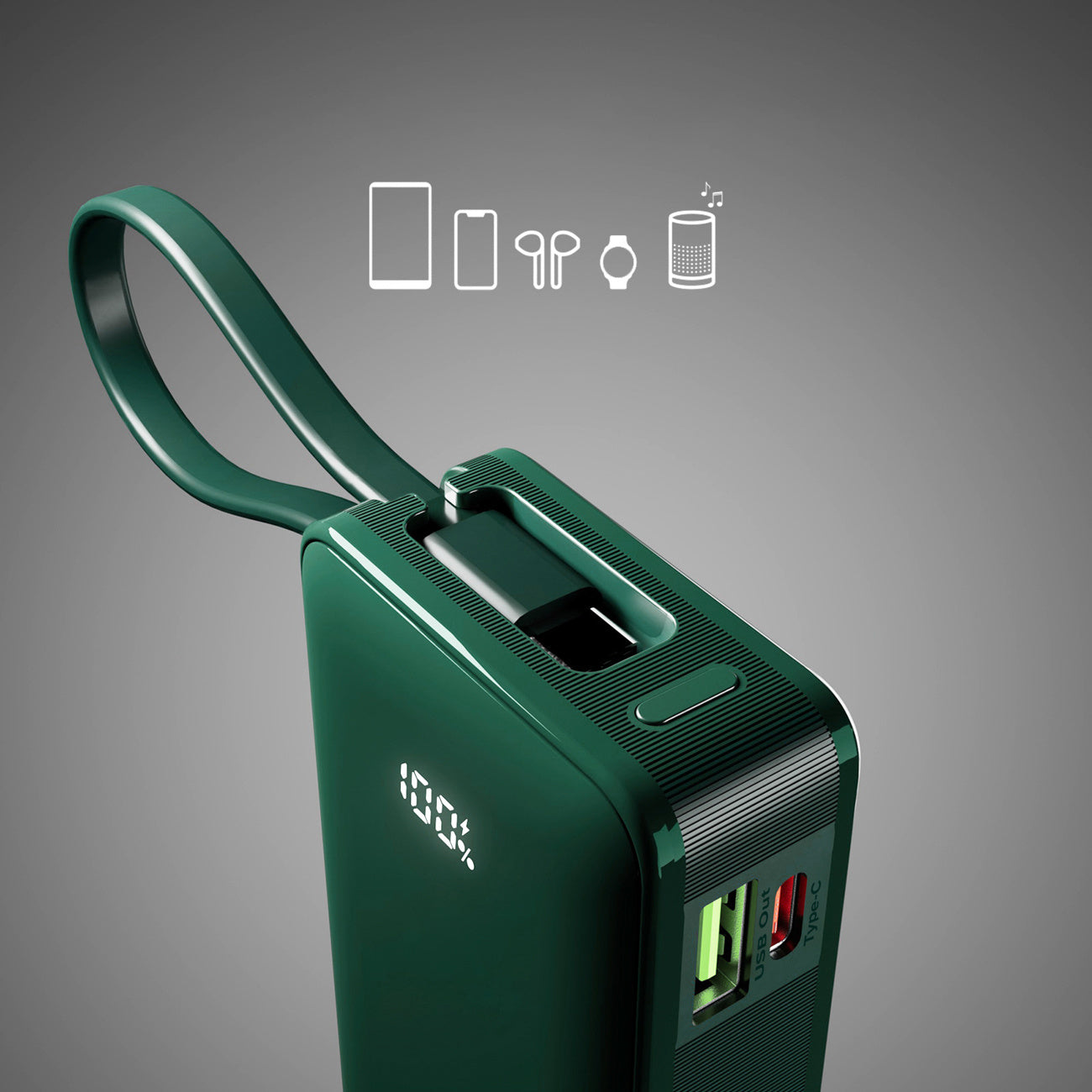 Power Banks – Powerbank 10000mAh USB-A USB-C with built-in display, - Carlat