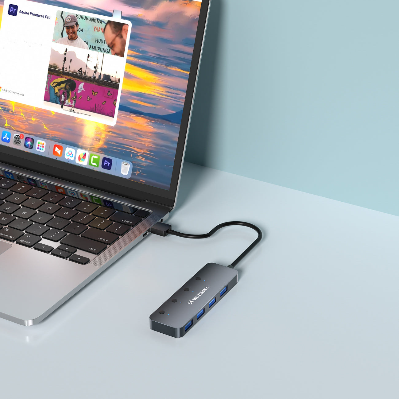 Power Connector Adapters – Hub splitter 4x USB-A with switches, - Carlat