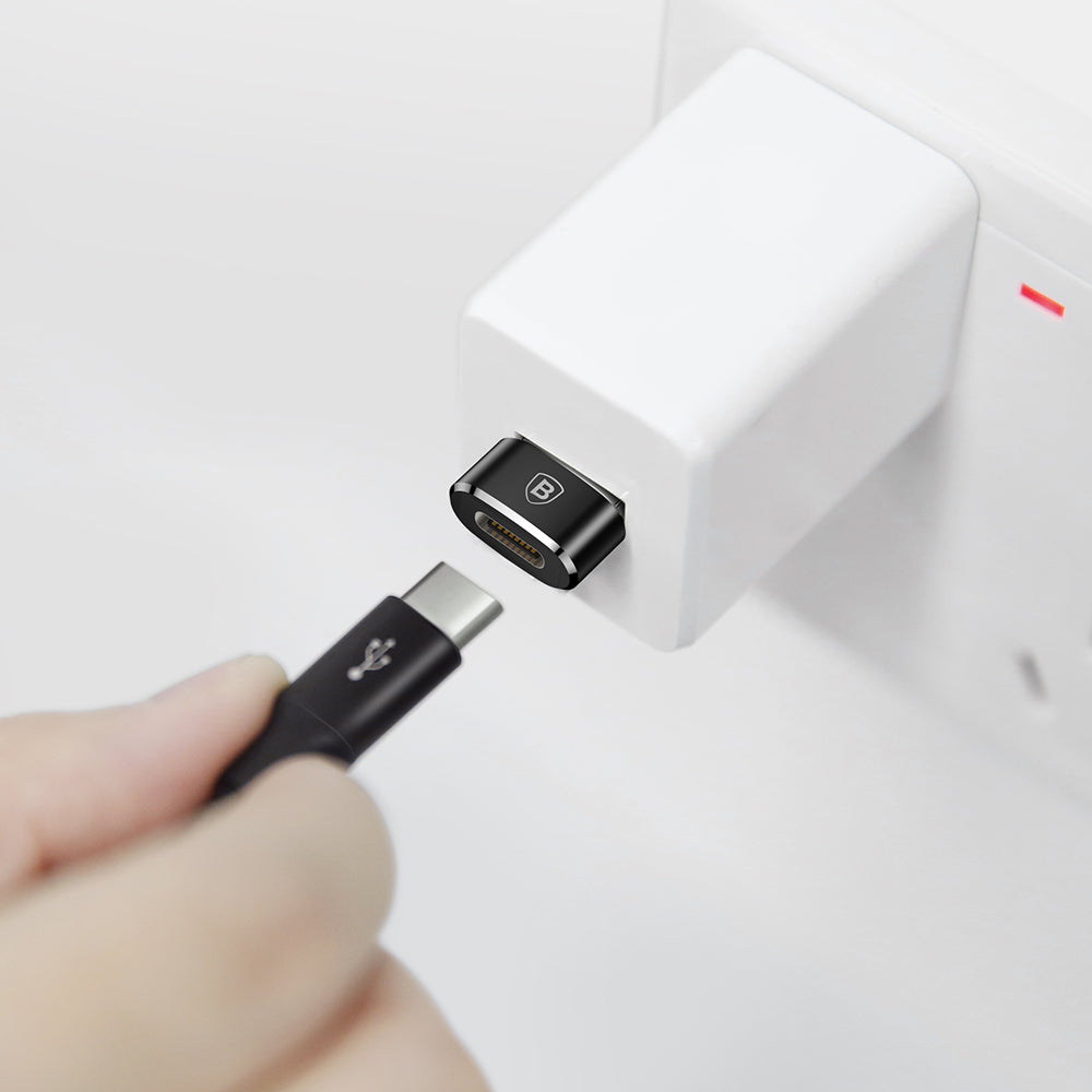 Power Connector Adapters – Small USB-C to USB plug adapter - Carlat