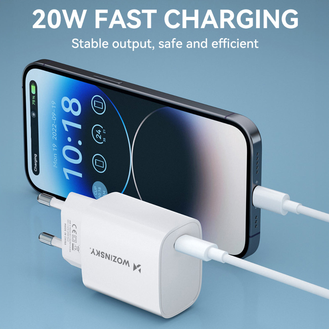 Power Supply Enclosures – 20W USB-C 100-240V wall charger, white - Carlat