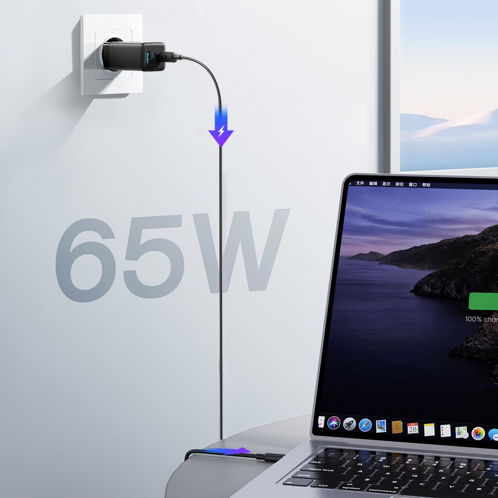 Power Supply Enclosures – GaN wall charger with USB-C cable - Carlat