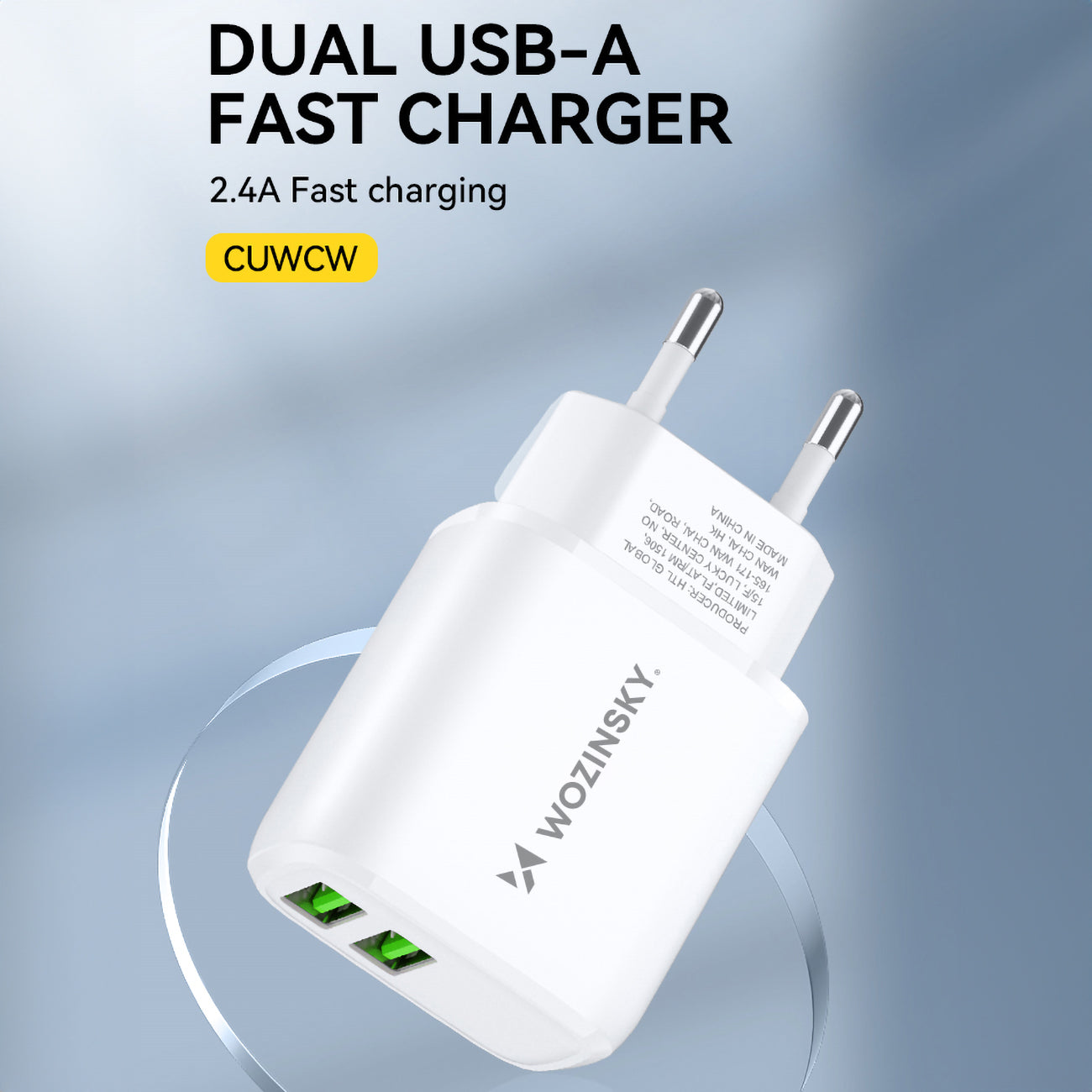 Power Supply Enclosures – Mains charger 100-240V 30W 2.4A 2x - Carlat