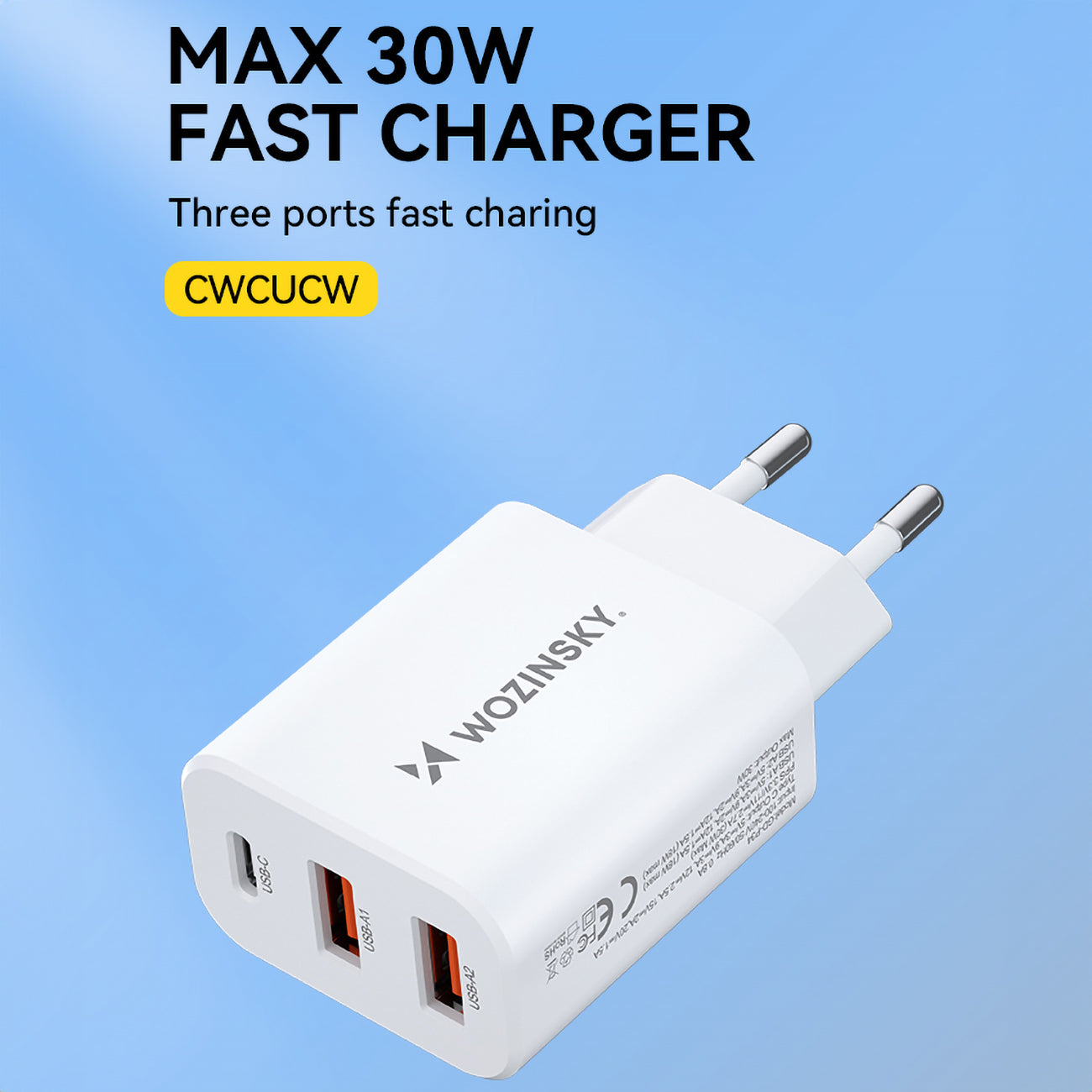 Power Supply Enclosures – Mains charger 100-240V 30W 2.4A 2x - Carlat