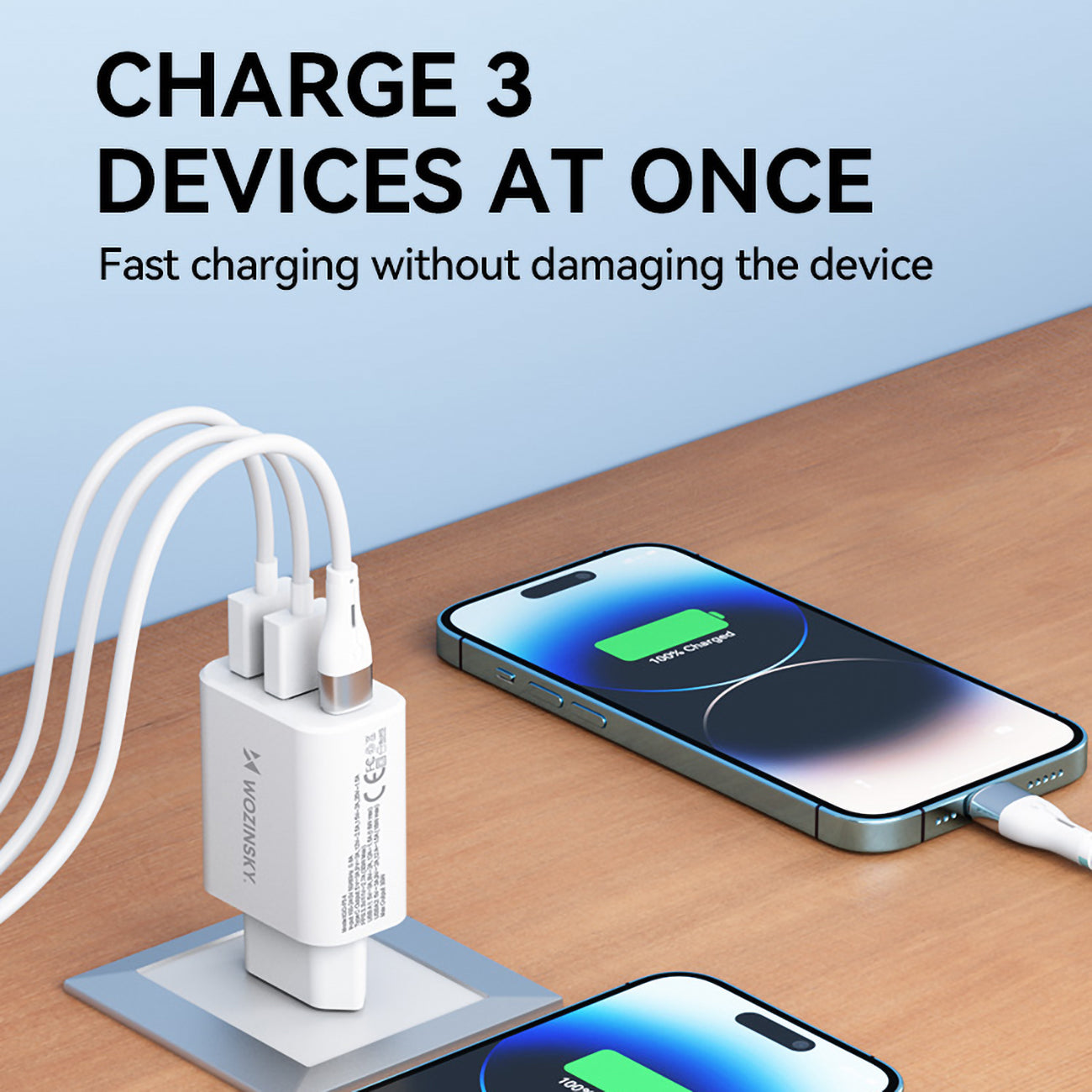 Power Supply Enclosures – Mains charger 100-240V 30W 2.4A 2x - Carlat