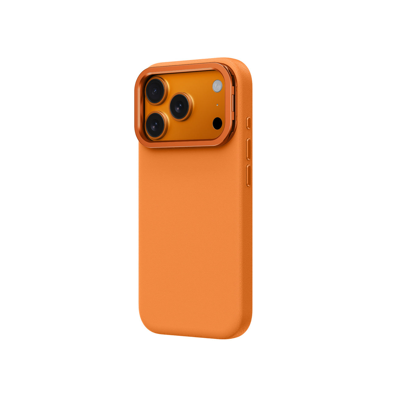Retail Display Cases – Case cover for iPhone 17 Pro - Carlat
