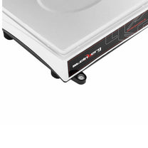 Retail – Waga kontrolna zliczająca sztuki SBS-ZW-3001H LCD do 30kg - Carlat