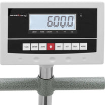 Retail – Warehouse check platform scale 50 x 60 cm - Carlat