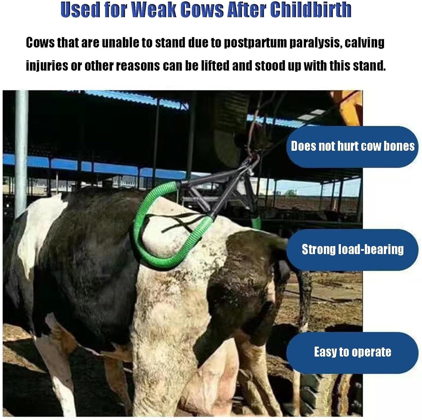 Rusopobe Cow Lifting Frame, 1000kg Reinforced Hip Lift for Cattle Adjustable Lifting Clamp for Cows with Non-Slip Rubber Hose Stand Up Aid - Carlat