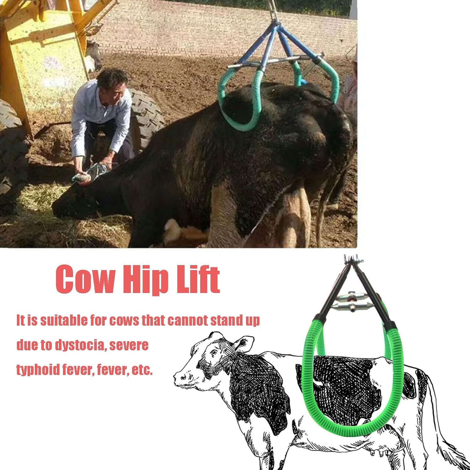 Rusopobe Cow Lifting Frame, 1000kg Reinforced Hip Lift for Cattle Adjustable Lifting Clamp for Cows with Non-Slip Rubber Hose Stand Up Aid - Carlat