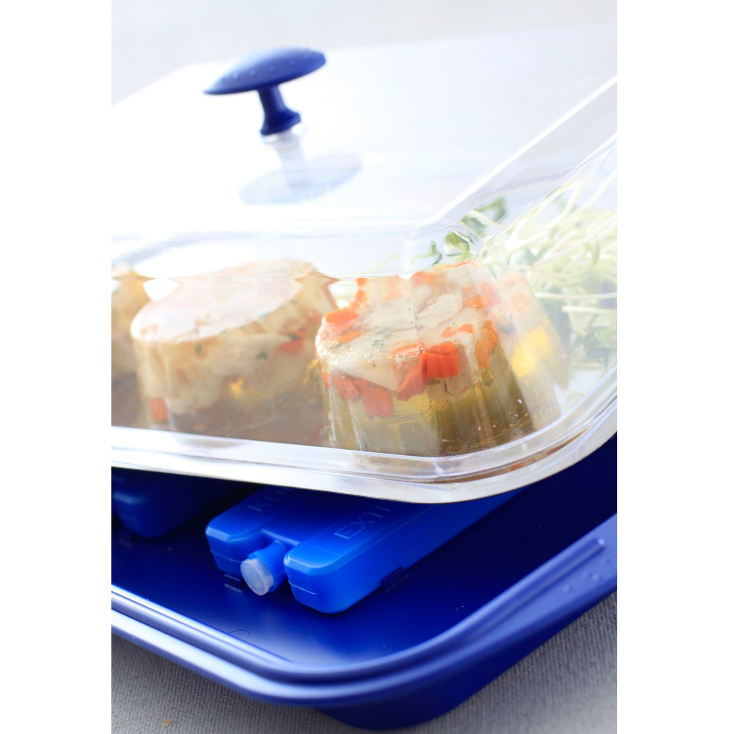Serving Trays – Cooled food tray with cover 43x29cm - Carlat