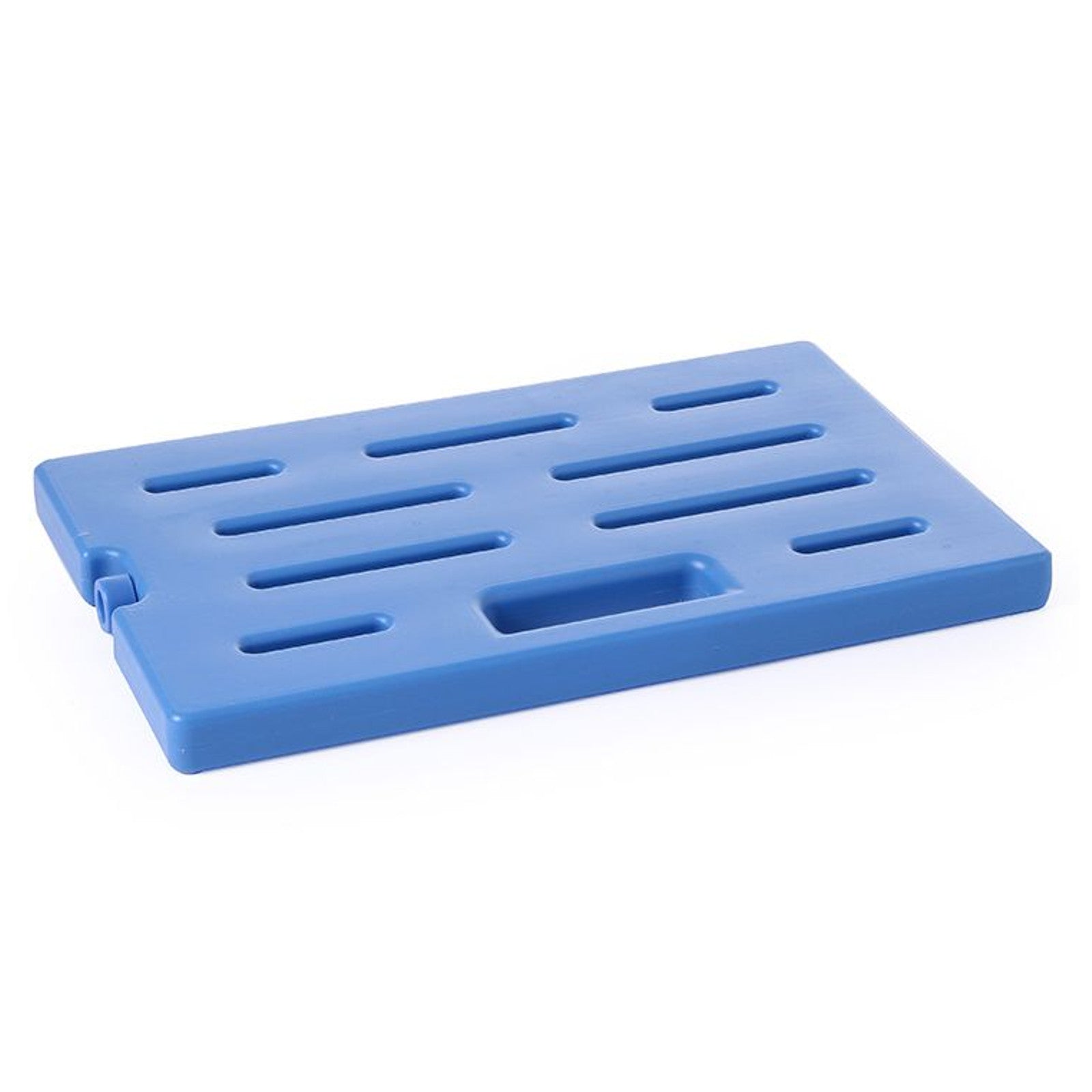Serving Trays – Element cooling insert GN1/1 for tray 424186 - Carlat