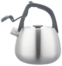 Stainless steel kettle with whistle, brushed silver, 2.5-liter capacity, Klausberg, KB-7773 - Carlat