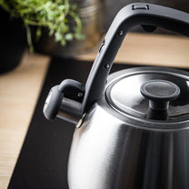 Stainless steel kettle with whistle, brushed silver, 2.5-liter capacity, Klausberg, KB-7773 - Carlat