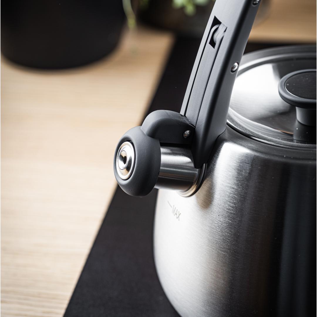 Stainless steel kettle with whistle, brushed silver, 2.5-liter capacity, Klausberg, KB-7773 - Carlat