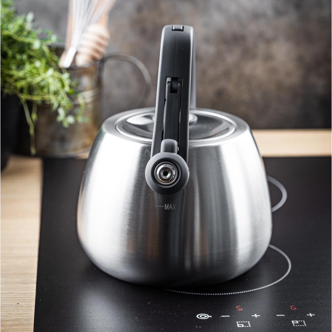 Stainless steel kettle with whistle, brushed silver, 2.5-liter capacity, Klausberg, KB-7773 - Carlat