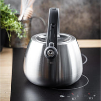 Stainless steel kettle with whistle, brushed silver, 2.5-liter capacity, Klausberg, KB-7773 - Carlat