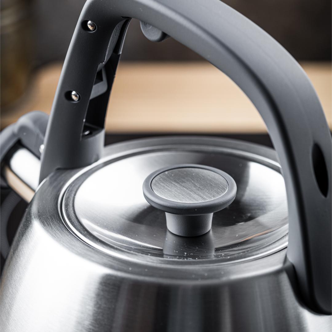 Stainless steel kettle with whistle, brushed silver, 2.5-liter capacity, Klausberg, KB-7773 - Carlat