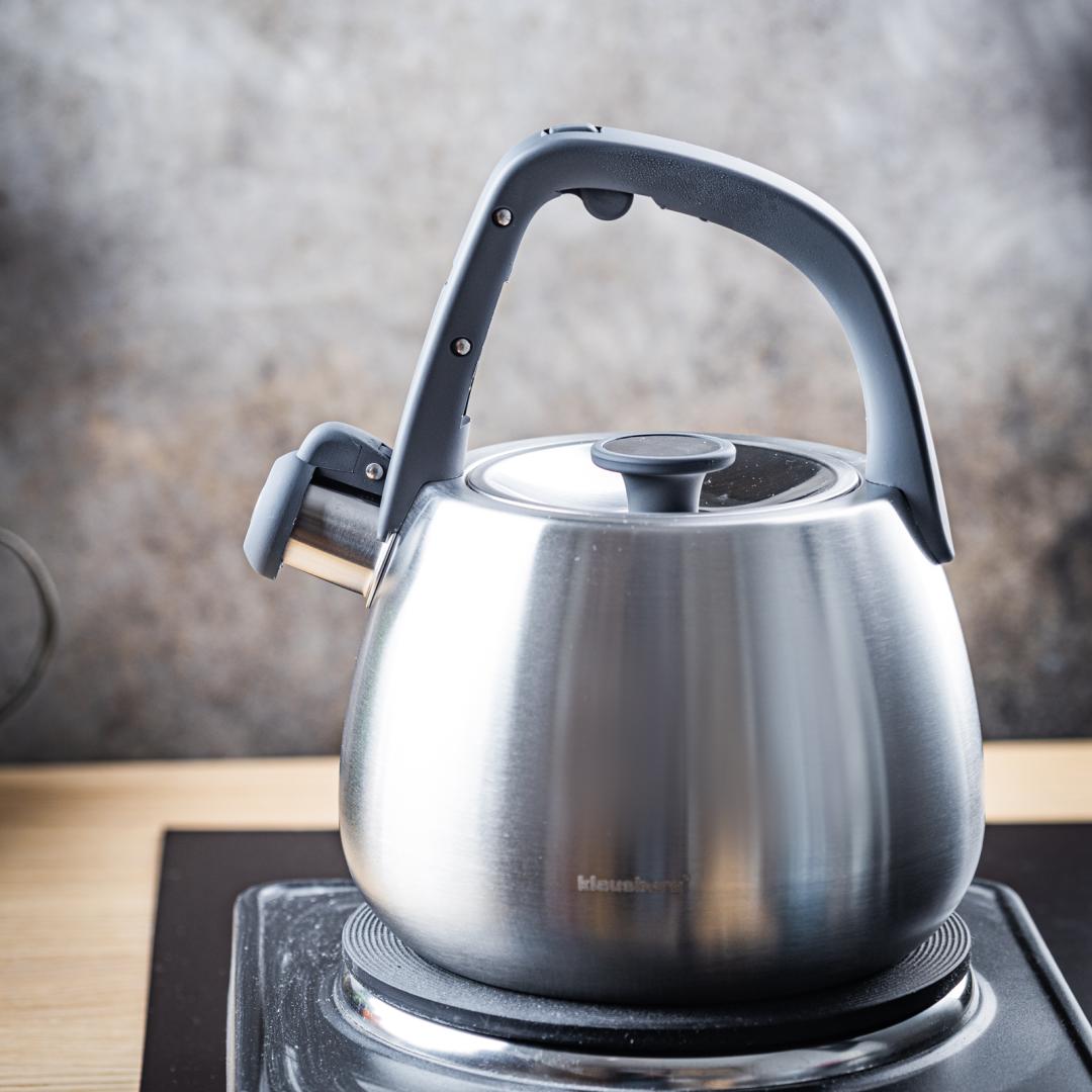 Stainless steel kettle with whistle, brushed silver, 2.5-liter capacity, Klausberg, KB-7773 - Carlat