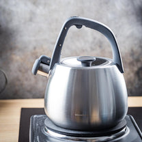 Stainless steel kettle with whistle, brushed silver, 2.5-liter capacity, Klausberg, KB-7773 - Carlat