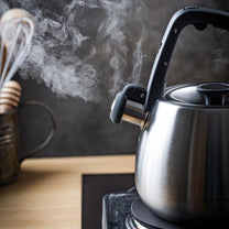 Stainless steel kettle with whistle, brushed silver, 2.5-liter capacity, Klausberg, KB-7773 - Carlat