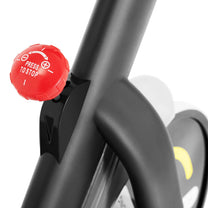 Steady bike 13 kg LCD Gymrex GR-MG13 - Carlat