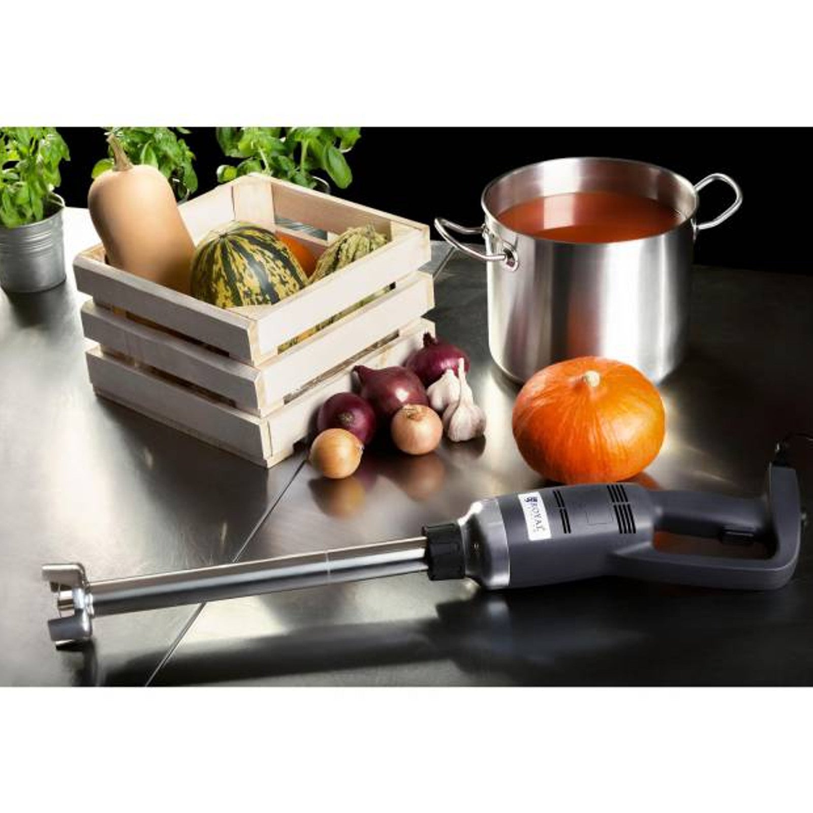 Strong blender hand robot arm length 400mm 350W 230V Royal Catering - Carlat