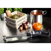 Strong blender hand robot arm length 400mm 350W 230V Royal Catering - Carlat