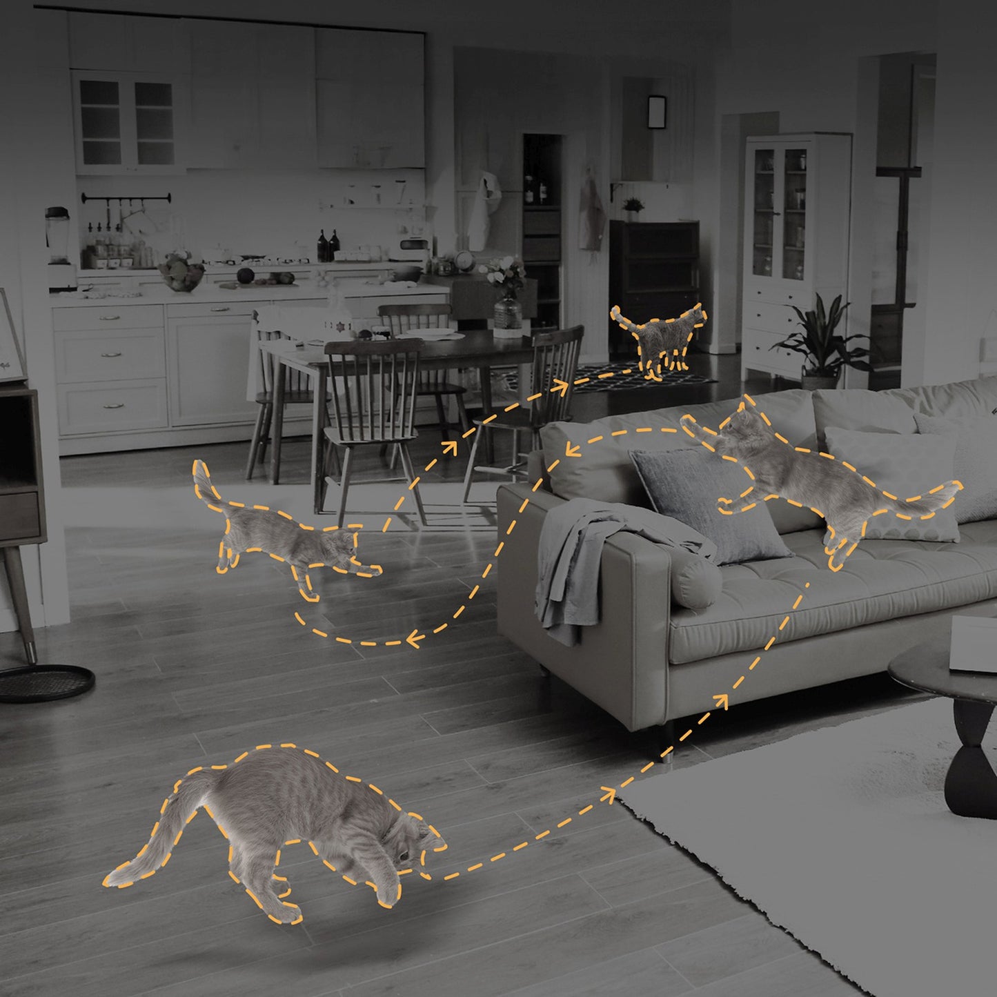 Surveillance Camera Accessories – 1080p IR Wi-Fi Bluetooth indoor surveillance - Carlat