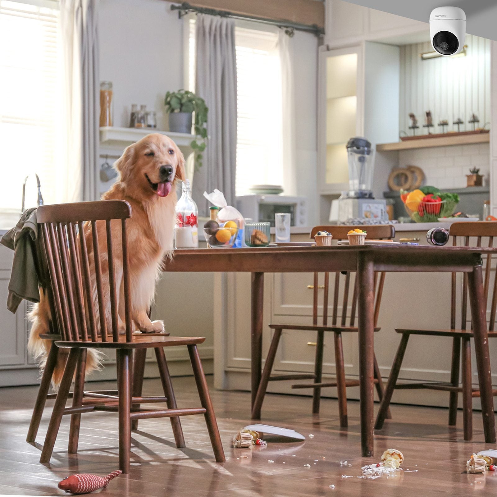 Surveillance Camera Accessories – 1080p IR Wi-Fi Bluetooth indoor surveillance - Carlat