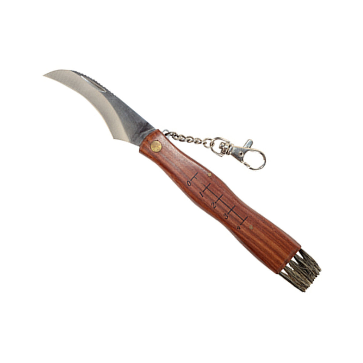 Survival – Mushroom picker's knife with brush and measure Greenmill GR5040 - Carlat