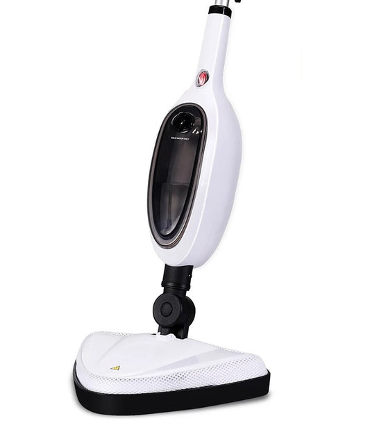 The remaining – Blue Steam Mop - Carlat