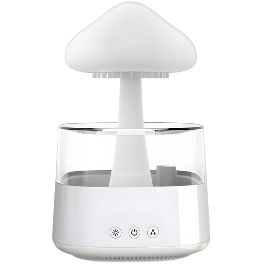 The remaining – Humidifier, aromatherapy diffuser, LED lamp, cloud, mushroom, rain - Carlat