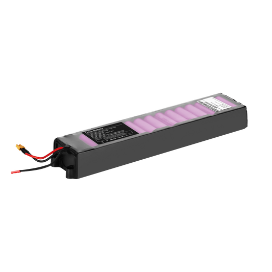 The remaining – ZAB0030 Scooter Battery - Carlat