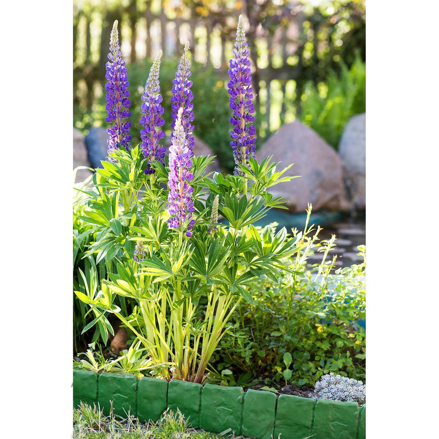 Tools – Palisade lawn edging imitation stone STONE 2.5 m - Carlat