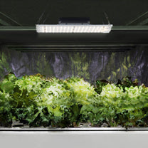Tools – Plant Growth Grow Lamp Full Spectrum 30 x - Carlat