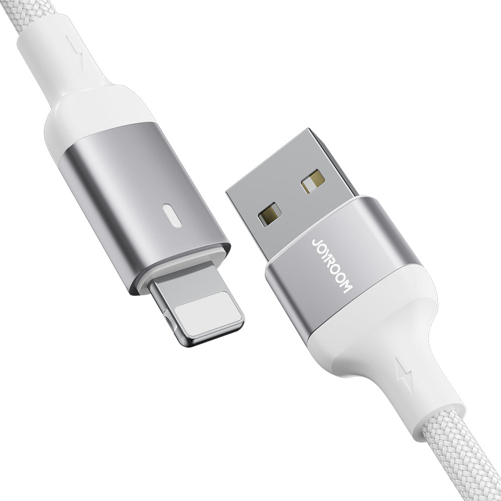 USB Cables – Cable for iPhone A10 Series USB - Carlat