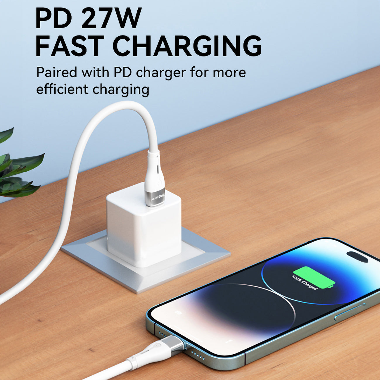 USB Cables – Cable for iPhone USB-C - Lightning PD - Carlat
