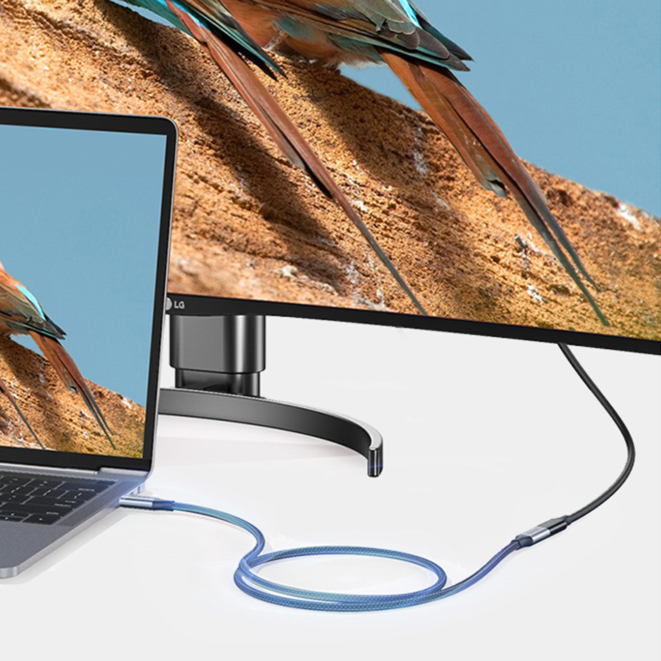 USB Cables – Durable USB-C 3.1 10Gb/s extension cable, 1m, - Carlat