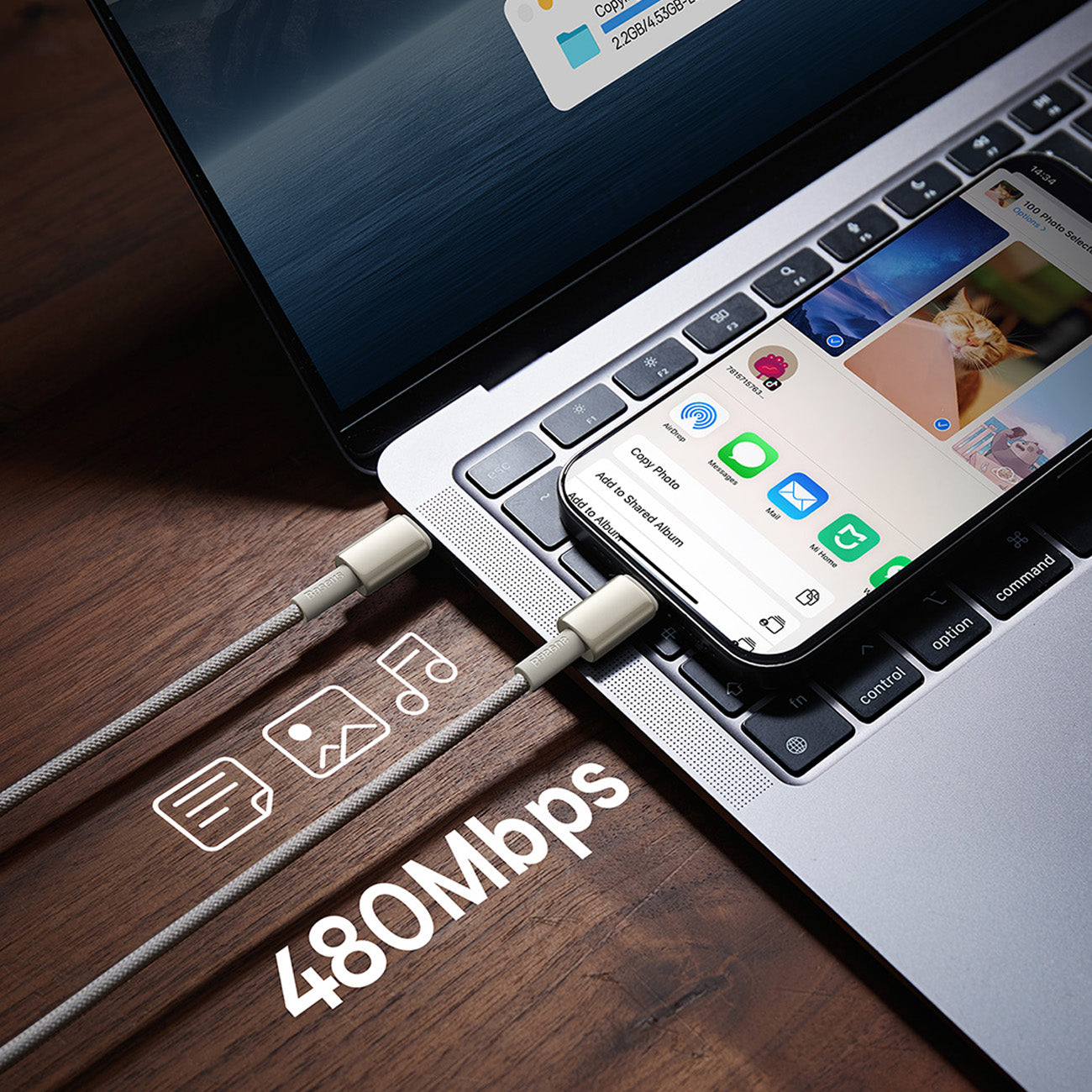 USB Cables – Tungsten Gold USB-C - USB-C cable 100W - Carlat
