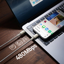 USB Cables – Tungsten Gold USB-C cable 100W 2m - Carlat