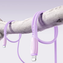 USB Cables – USB-C cable - iPhone Lightning Vibrant Series - Carlat