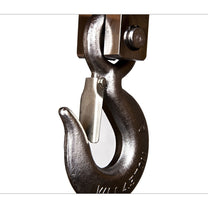 Utility Hooks – Waga hakowa 3000 Kg z pilotem dla - Carlat